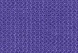5041 Violette