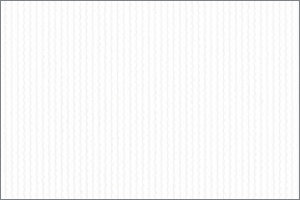 0001 Blanc optiqe