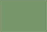 L41 Olive